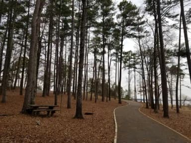T2, filed by the agency against 13 campsites at Brushy Creek