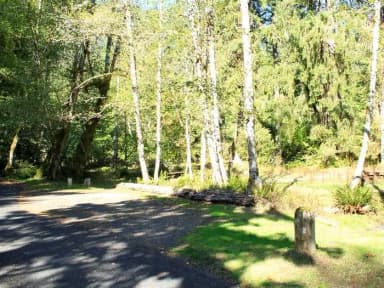 The group campsite A 2 and 3., filed by the agency against 2 campsites at Hoh Rainforest Campground