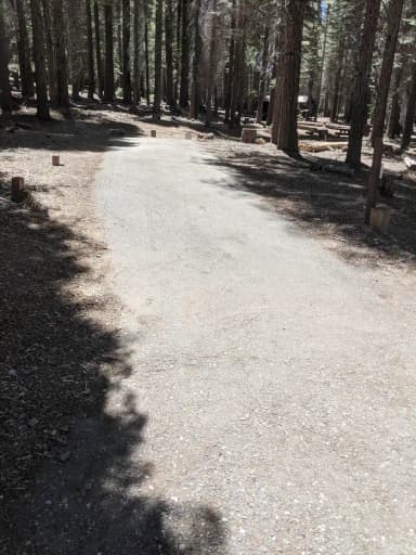 Red Feather Site #42 Photo 3, filed by the agency against 2 campsites at Red Feather California