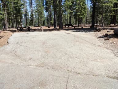 Wyandotte Site #20 Photo 2, filed by the agency against 2 campsites at Wyandotte A Campground