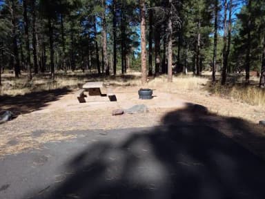 Loop E Campsite 67 partially shaded with a picnic table and fire ring, filed by the agency against 2 campsites at Kaibab Lake Sites and Group Areas