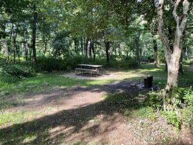 A photo of Site B090 of Loop B Loop at Loft Mountain Campground with Picnic Table, Fire Pit, filed by the agency against 2 campsites at Loft Mountain Campground