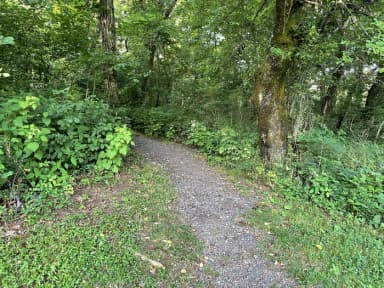A photo of trail to Site 004 of Loop Upper Loop at Loft Mountain Campground, filed by the agency against 2 campsites at Loft Mountain Campground