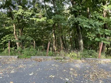 A photo of Site 013 parking of Loop Upper Loop at Loft Mountain Campground, filed by the agency against 3 campsites at Loft Mountain Campground