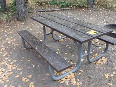 Picnic table and campfire ring in a wooded, leaf-covered campsite., filed by the agency against 2 campsites at Apgar Campground
