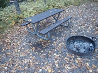 Picnic table and campfire ring in a wooded, leaf-covered campsite., filed by the agency against 2 campsites at Apgar Campground
