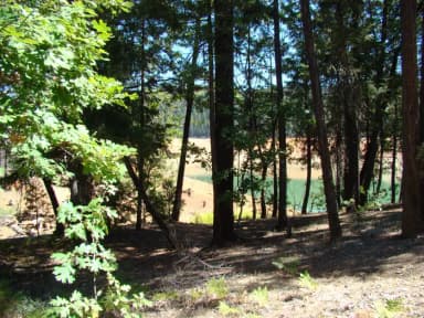 campsite, filed by the agency against 4 campsites at Minersville Campground