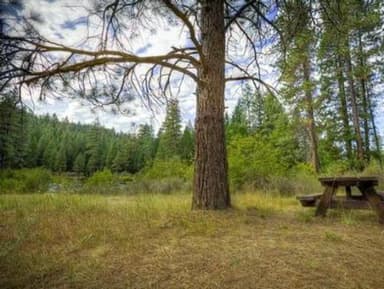 site, filed by the agency against 2 campsites at Allen Springs Campground