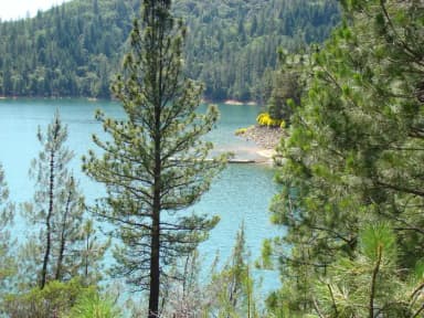 campsite, filed by the agency against 3 campsites at Hirz Bay