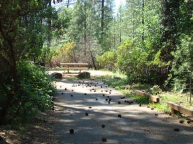campsite, filed by the agency against 2 campsites at Hirz Bay
