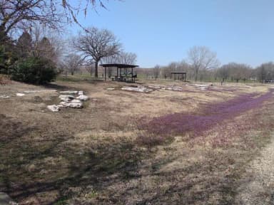 CCCRE Site 20 & 21 from lower road, filed by the agency against 2 campsites at Canning Creek