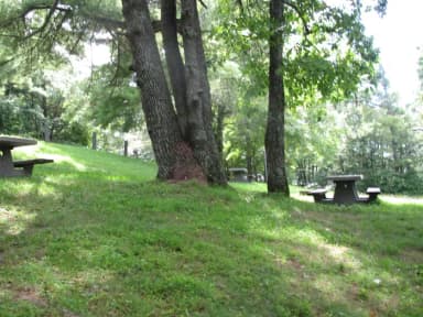 Group Site 1 3, filed by the agency against 2 campsites at Doughton Park Campground