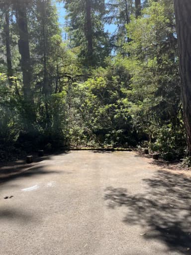 Site 16, filed by the agency against 2 campsites at Humbug Campground