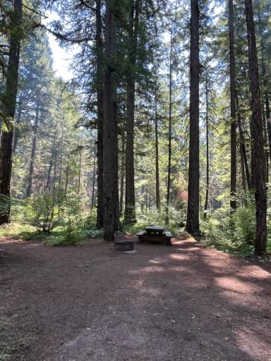 Site 3, filed by the agency against 2 campsites at Olallie on McKenzie Highway - Willamette (OR)