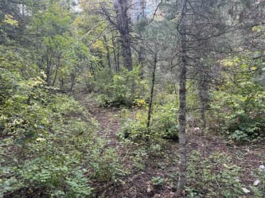 Tent pad, filed by the agency against 2 campsites at Tinney Flat