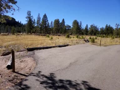 Vedauwoo Tent CG site 19 and site 20 parking, filed by the agency against 2 campsites at Vedauwoo Tent Campground (WY)