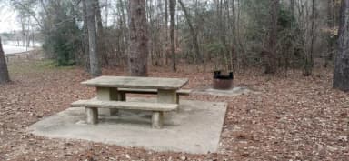 A photo of Site 32 of Loop LOOB at SAN AUGUSTINE with Picnic Table, Fire Pit, Shade, filed by the agency against 2 campsites at San Augustine
