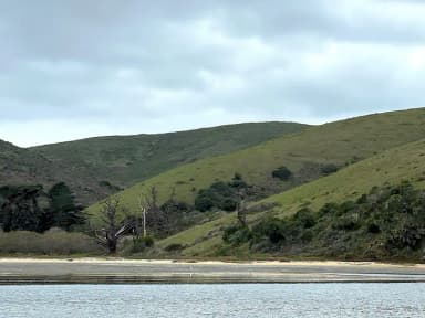 Water leading to sandy beach with snag trees and grassy hills behind it., filed by the agency against 2 campsites at Point Reyes National Seashore Campground