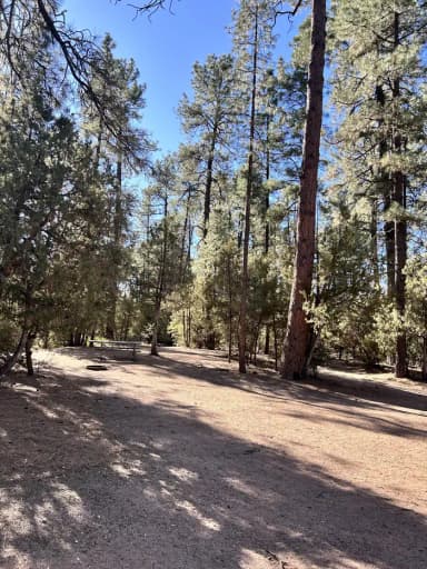 Site #37, filed by the agency against 2 campsites at Houston Mesa