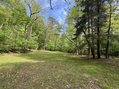 Field behind campsite 39, filed by the agency against 3 campsites at Cave Mountain Lake Family Camp