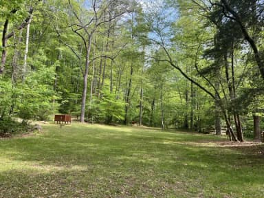 Grassy field surrounded by trees, filed by the agency against 2 campsites at Cave Mountain Lake Family Camp