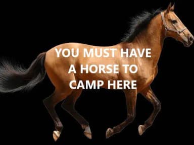 You must have a horse to camp here., filed by the agency against 4 campsites at Tuolumne Horse Campsites