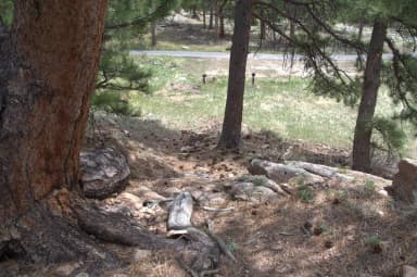 Site 227 - gravel trail to site as viewed towards parking, filed by the agency against 2 campsites at Rocky Mountain National Park Moraine Park Campground