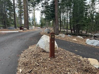 Site 58 Fern Loop, filed by the agency against 2 campsites at Loon Lake