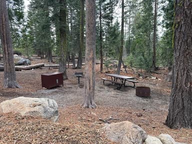 Site 58 Fern Loop Pic 3, filed by the agency against 2 campsites at Loon Lake