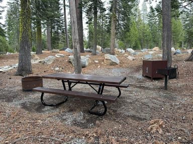 Site 58 Fern Loop Pic 5, filed by the agency against 2 campsites at Loon Lake