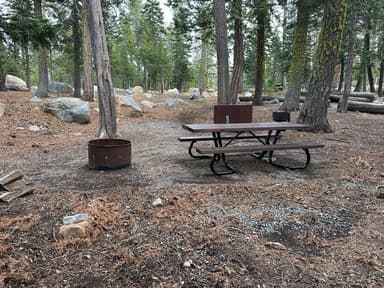 Site 58 Fern Loop Pic 4, filed by the agency against 2 campsites at Loon Lake