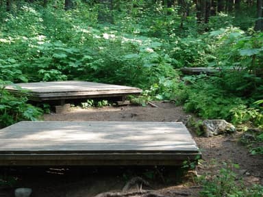 Finnegan's Point raised wood floor tent pads surrounded by green vegetation., filed by the agency against 6 campsites at Chilkoot Trail Camping Permits