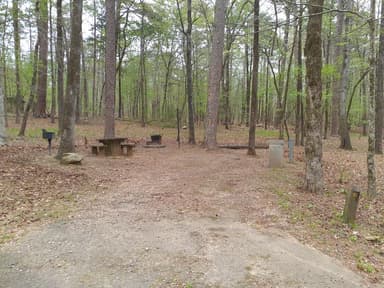 D7, filed by the agency against 2 campsites at Shady Lake Campground