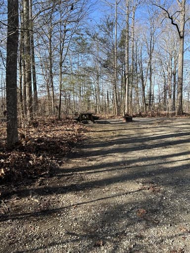 Site 55 Alternate View 3, filed by the agency against 2 campsites at Little Oak Campground