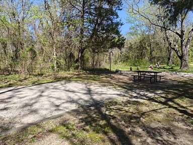An empty campsite with a brown picnic table, a lantern post, and a fire ring with a gravel driveway leading to the picnic table., filed by the agency against 2 campsites at Erbie Campground